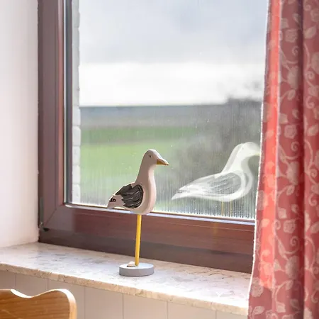 Brauer Apartmán *